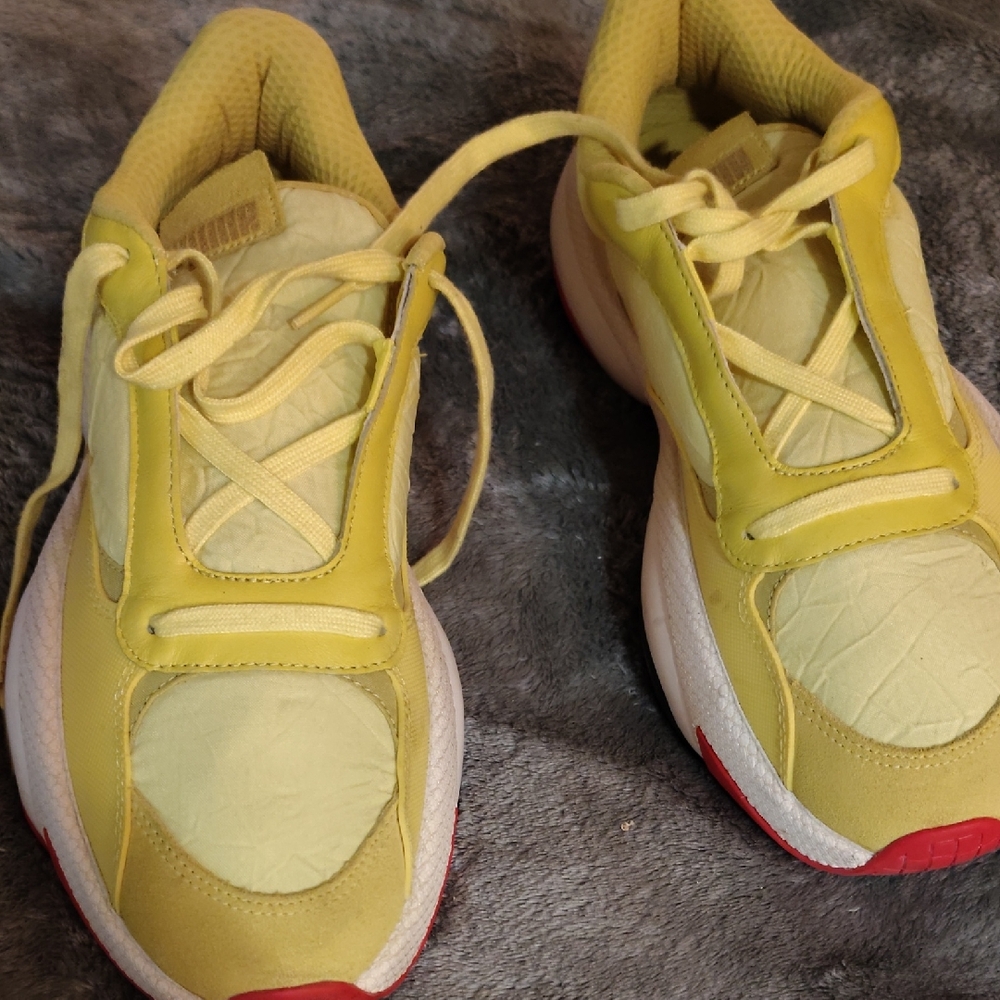 Puma Alteration